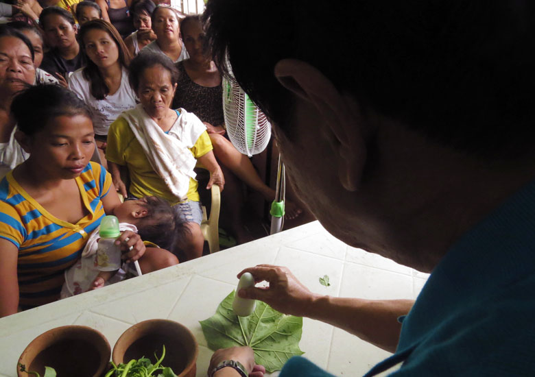 Dr Jaime Galvez Tan pounding a leaf of medicinal plant using a mortar to demonstrate making of poultice