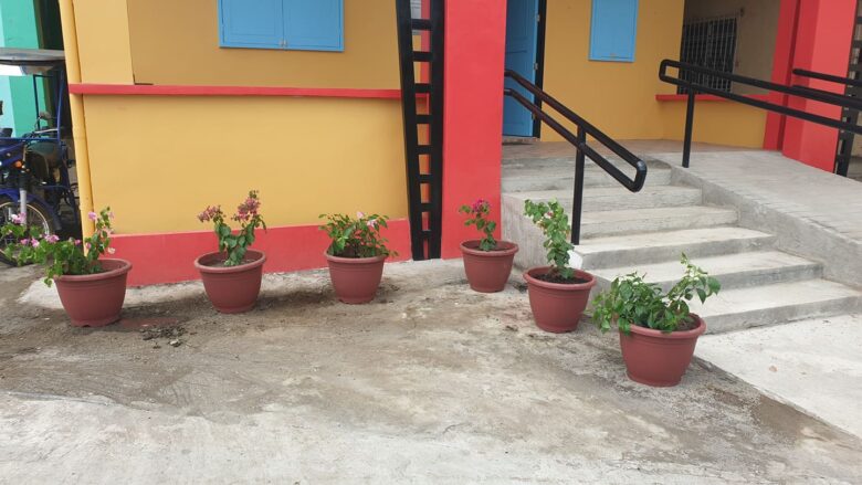Pots of bougainvillea plants in front of Pansol ALAGA KA Barangay Health Station