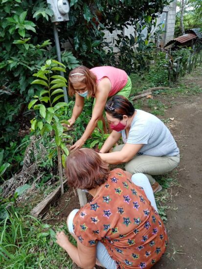 Women of Brgy. Pansol planting the seedlings in another area