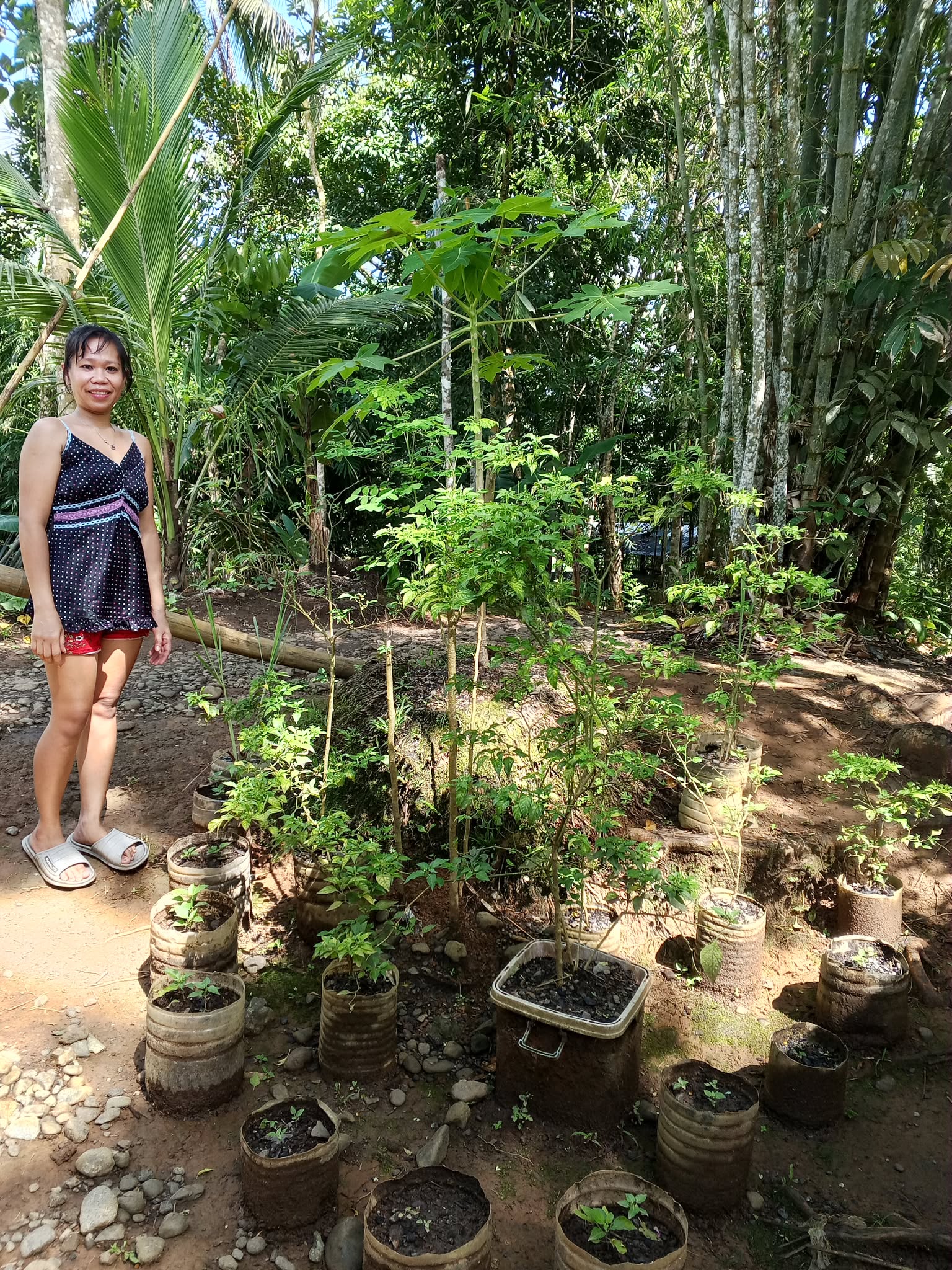 A beneficiary from Barangay Banay-banay creatively established an improvised garden by planting vegetables in recycled containers to grow vegetables despite limited space