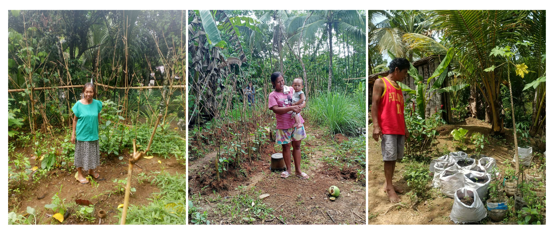 Beneficiaries across the barangays of Malinao actively participated in the program and have started establishing their own home gardens to support household nutrition